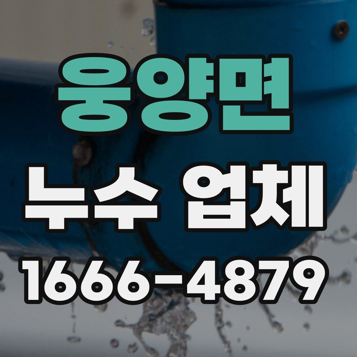 웅양면 누수 업체