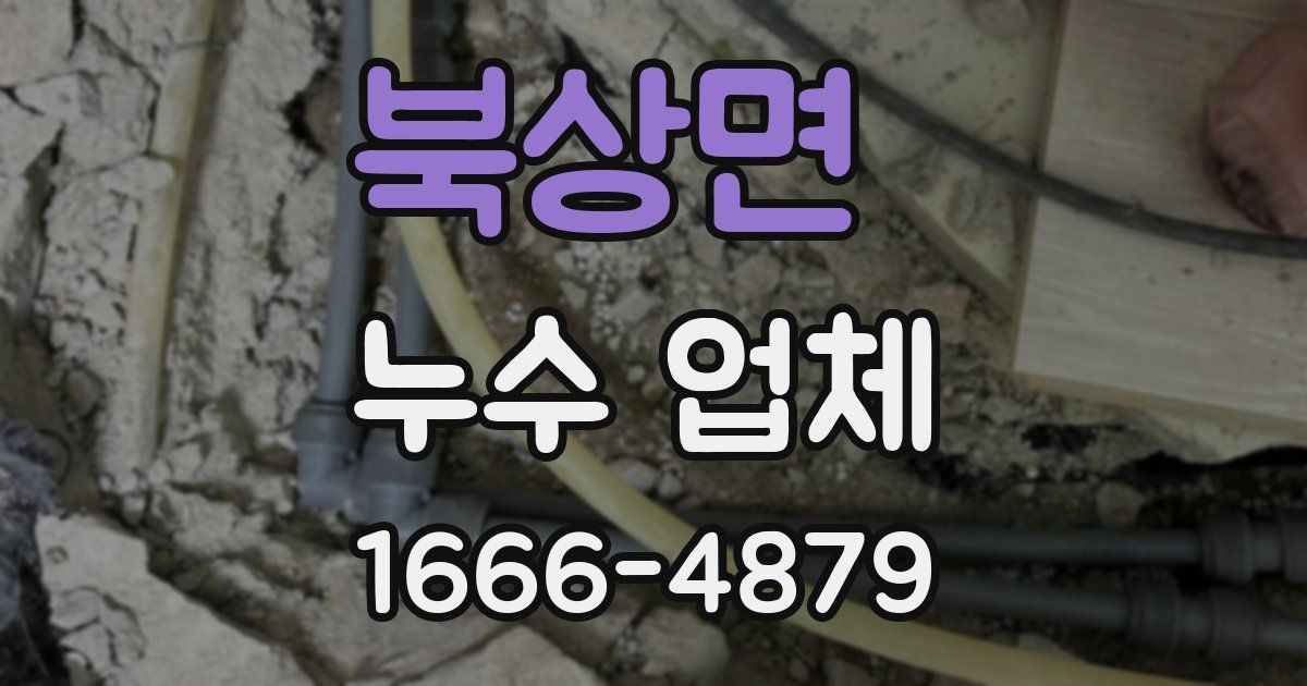 북상면 누수 업체