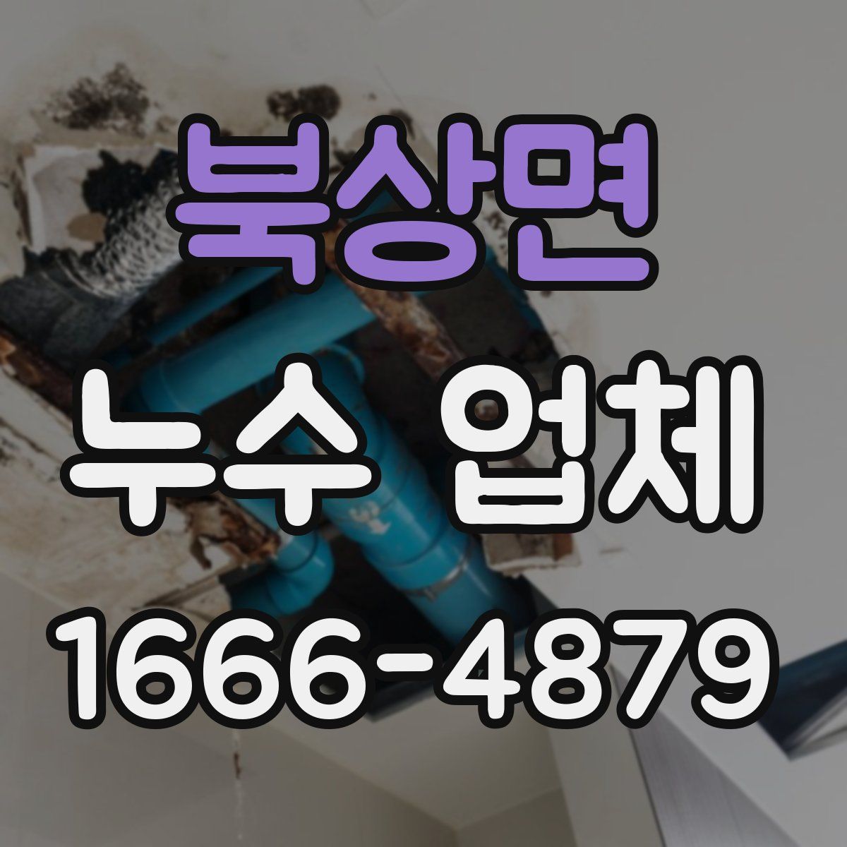 북상면 누수 업체