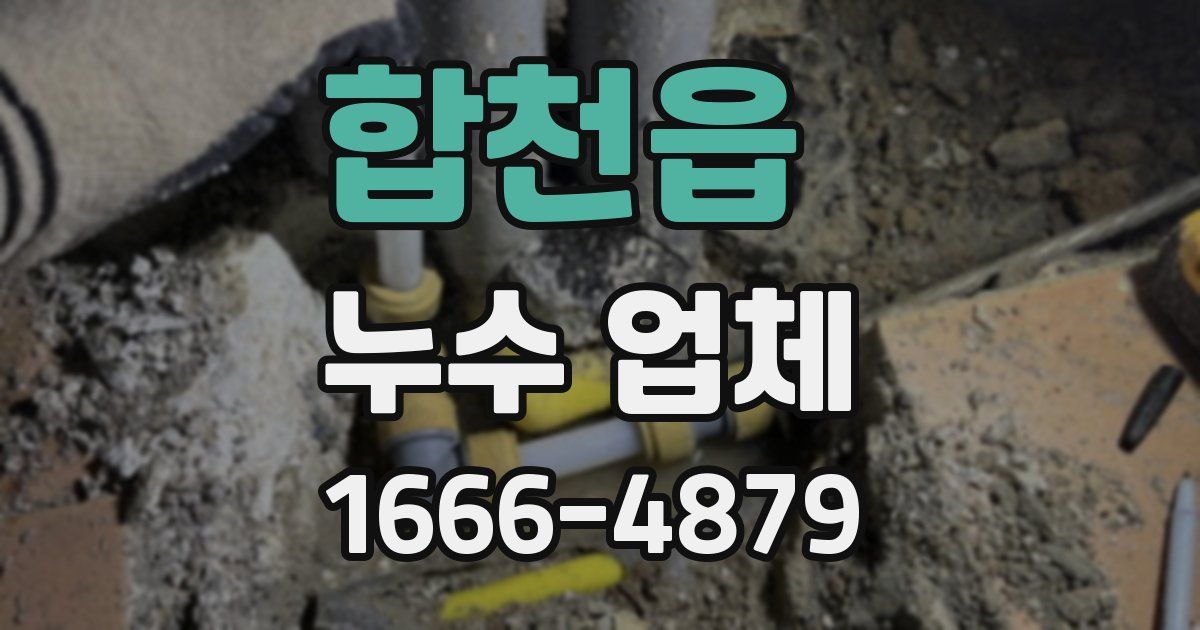 합천읍 누수 업체
