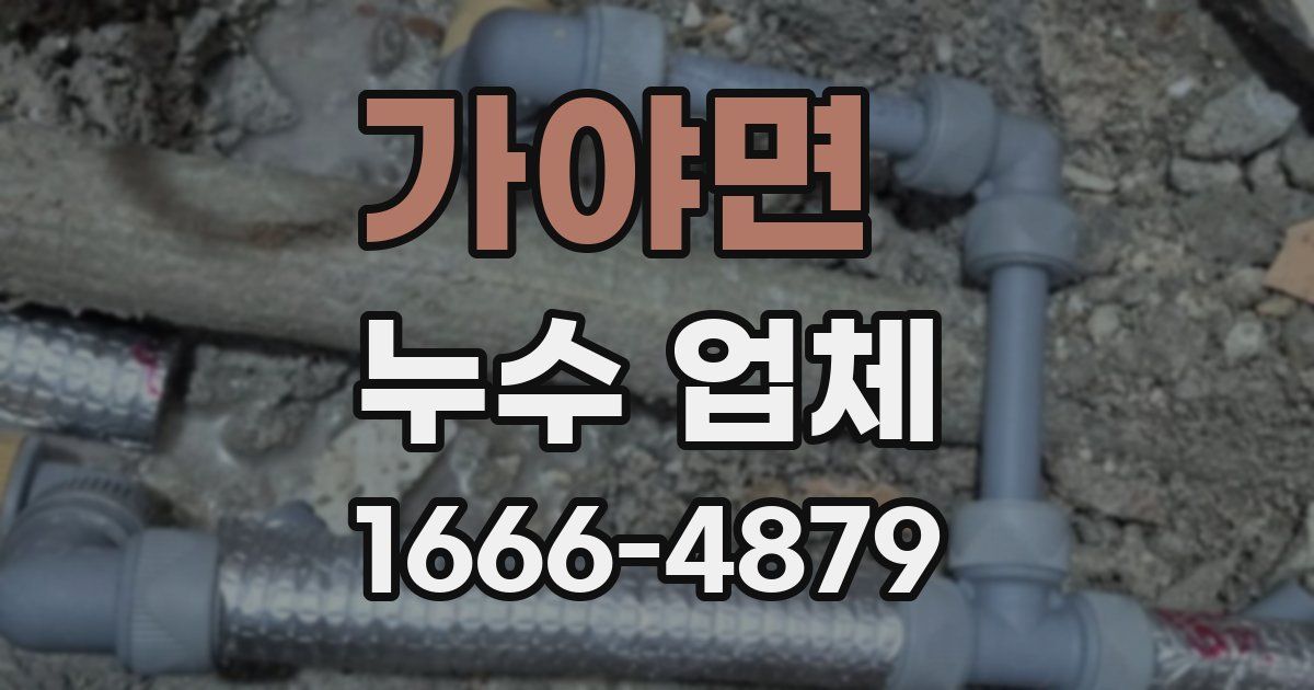 가야면 누수 업체