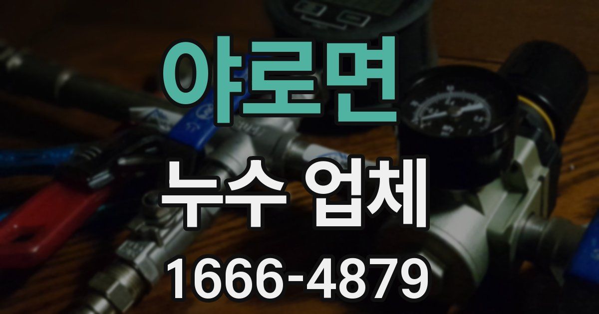 야로면 누수 업체