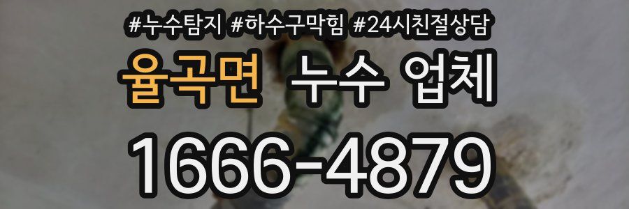 율곡면 누수 업체