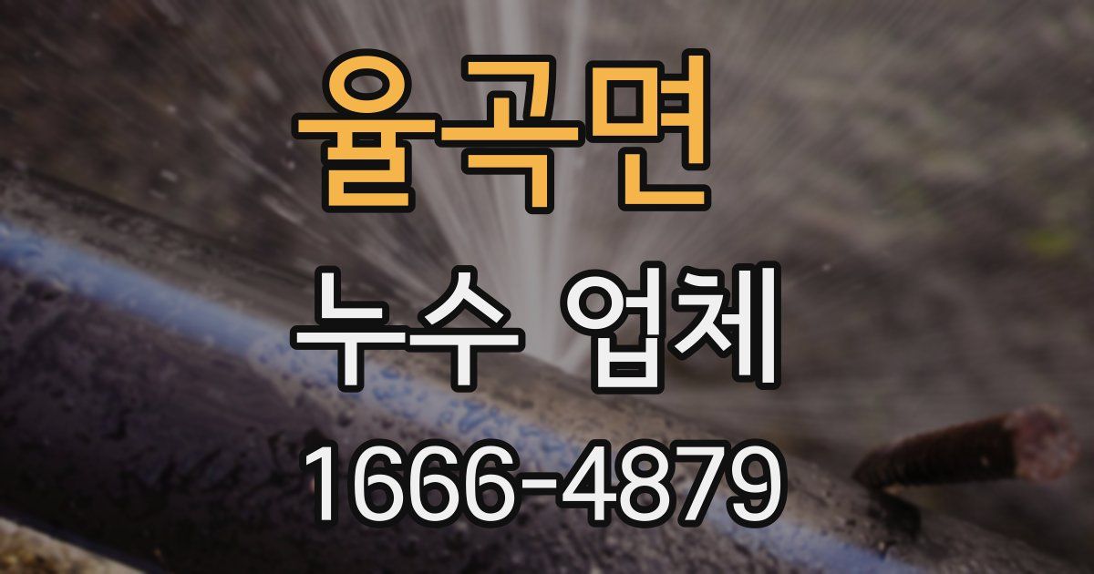 율곡면 누수 업체