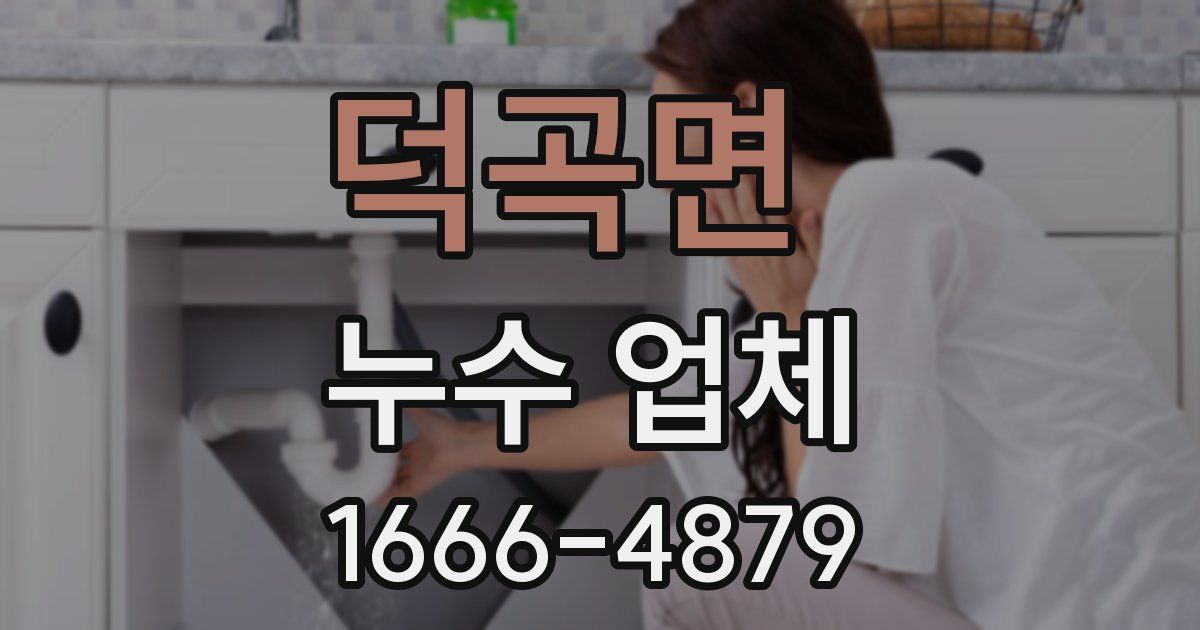 덕곡면 누수 업체