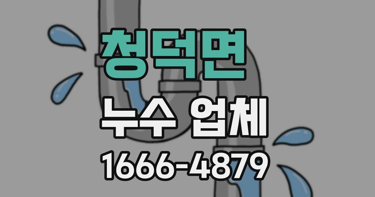 청덕면 누수 업체