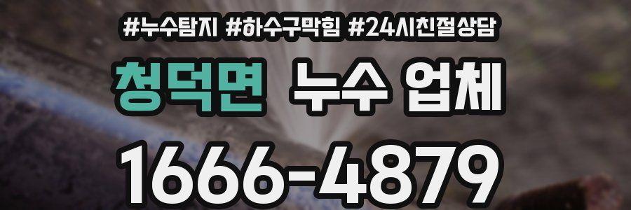 청덕면 누수 업체