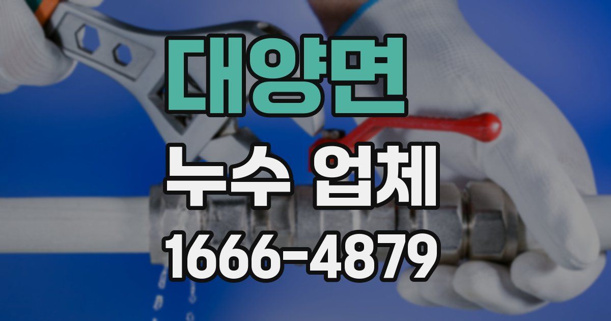 대양면 누수 업체
