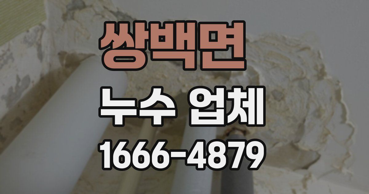쌍백면 누수 업체
