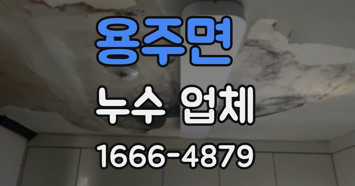 용주면 누수 업체