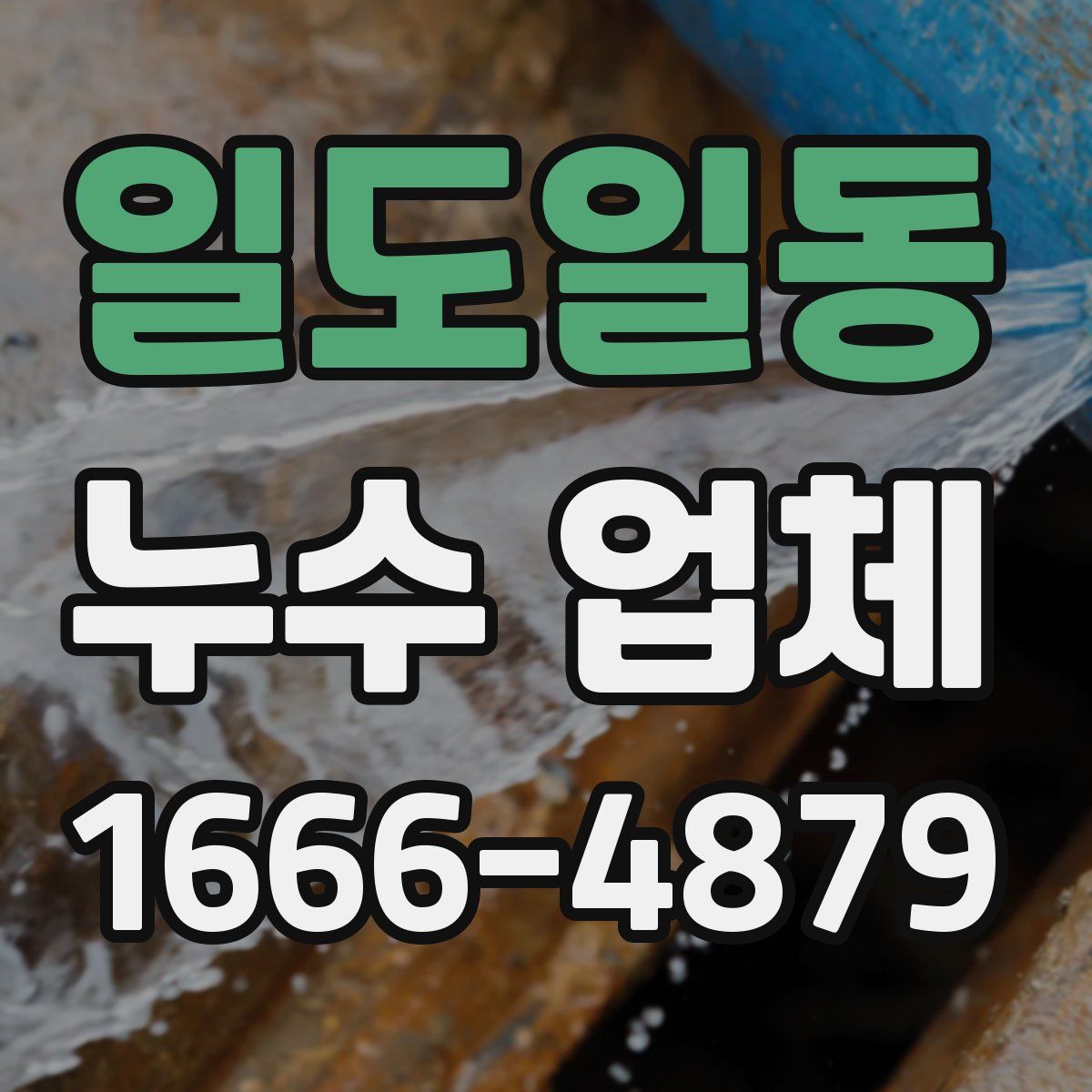 일도일동 누수 업체