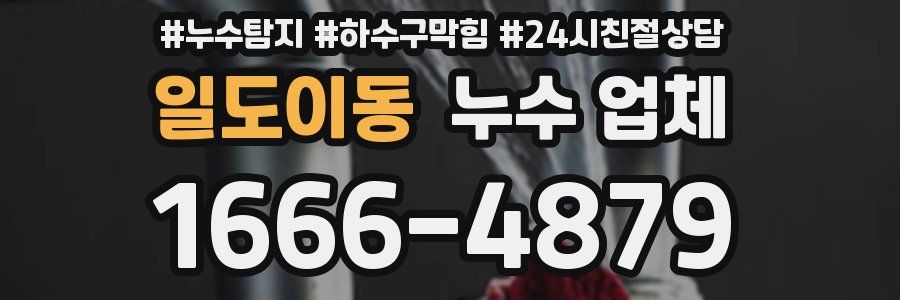일도이동 누수 업체