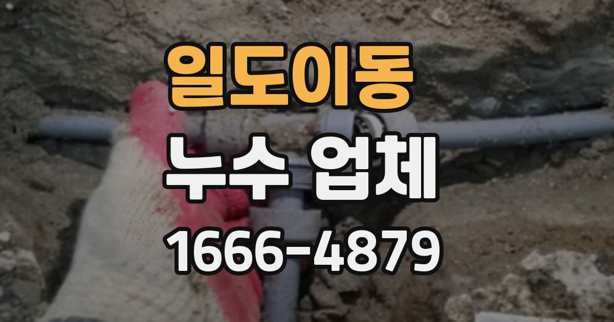 일도이동 누수 업체