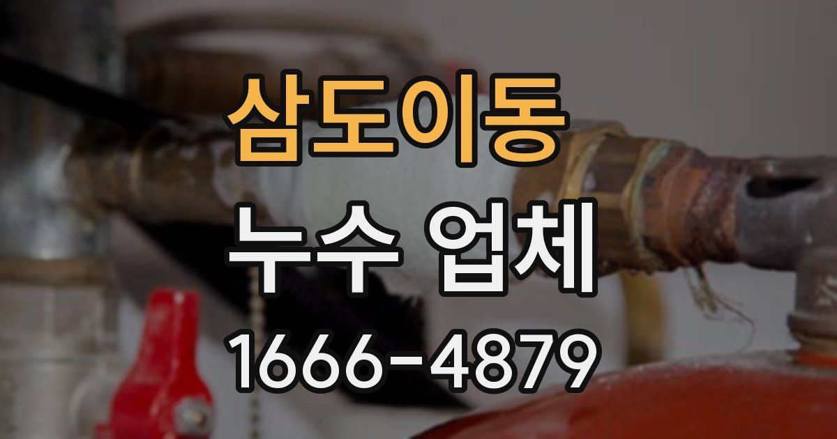 삼도이동 누수 업체
