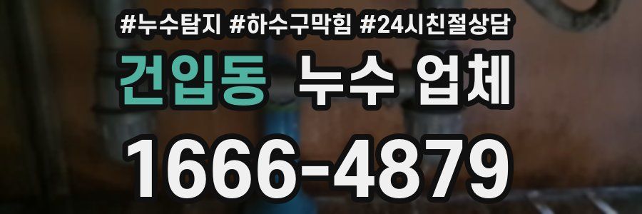 건입동 누수 업체