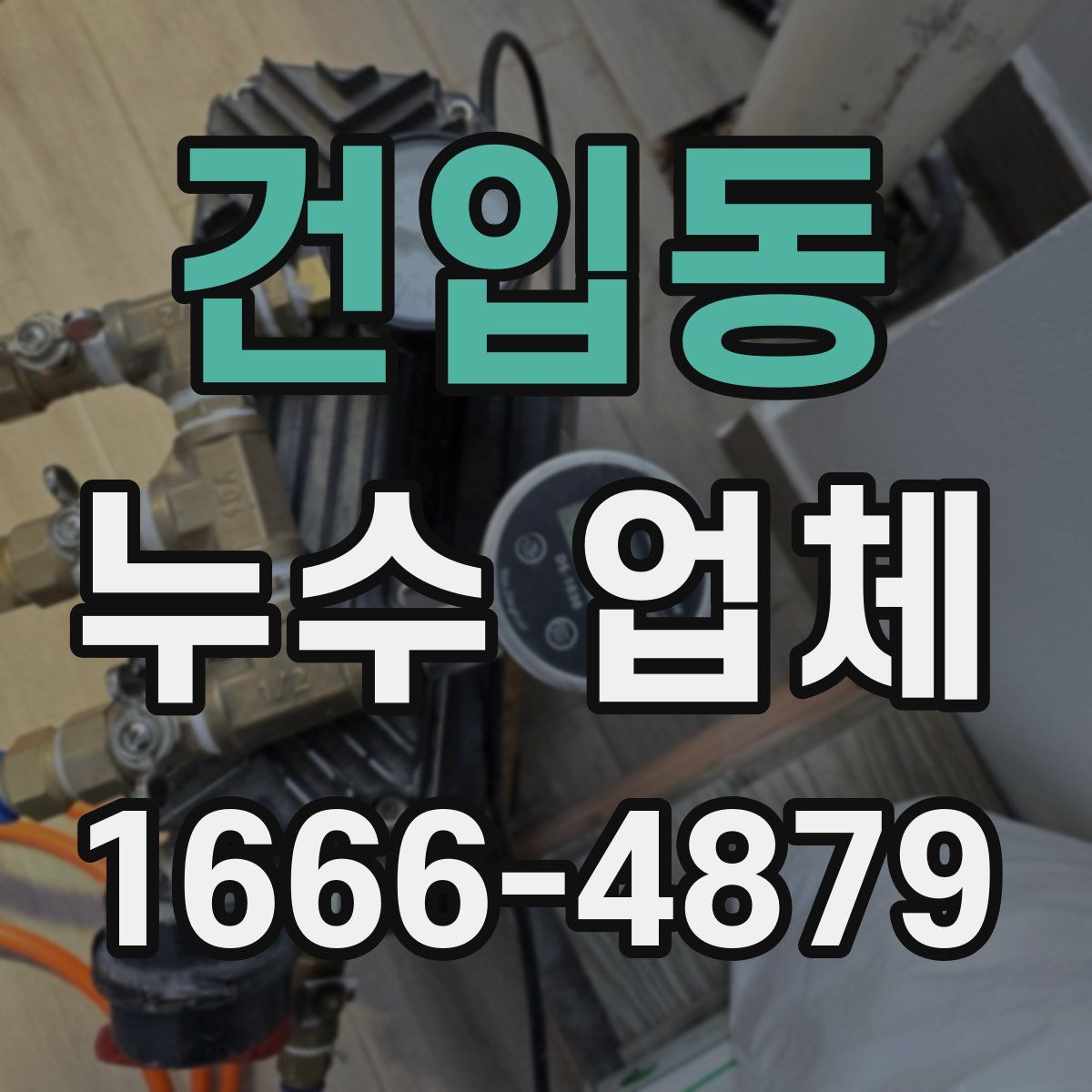 건입동 누수 업체