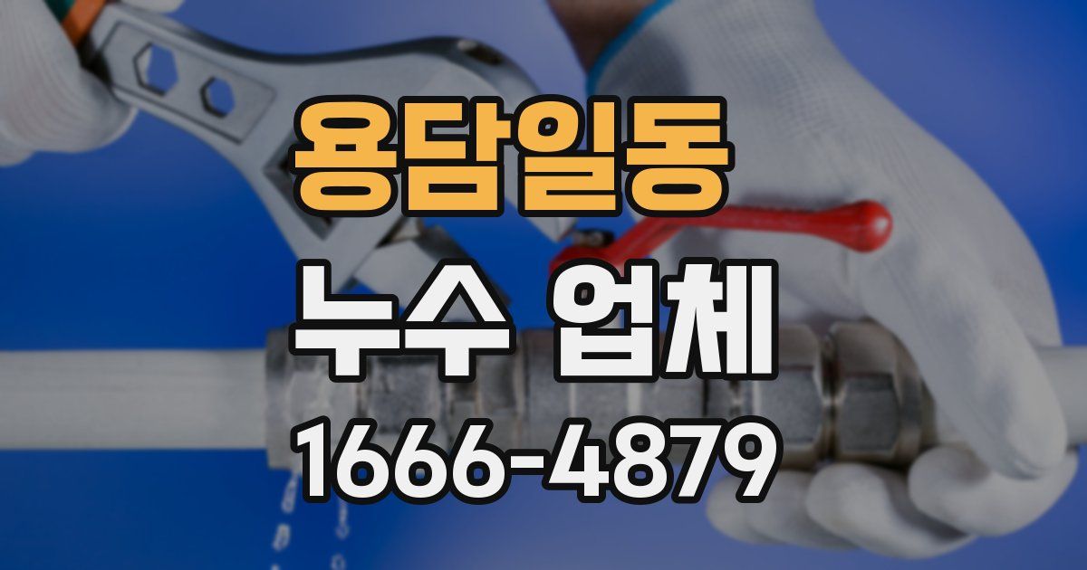 용담일동 누수 업체