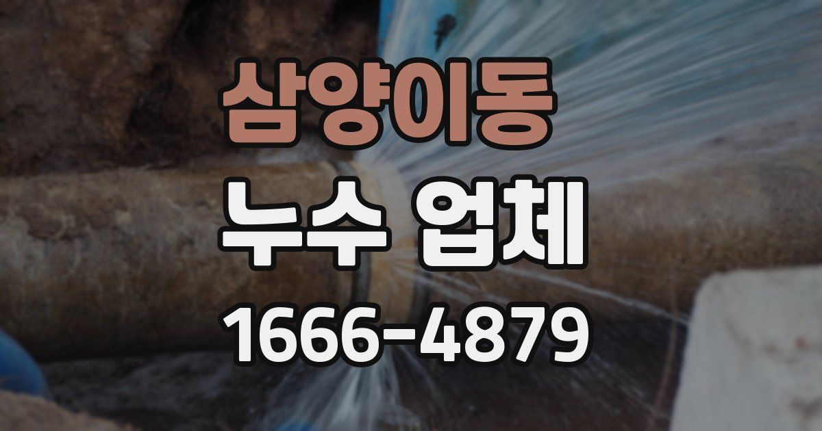 삼양이동 누수 업체