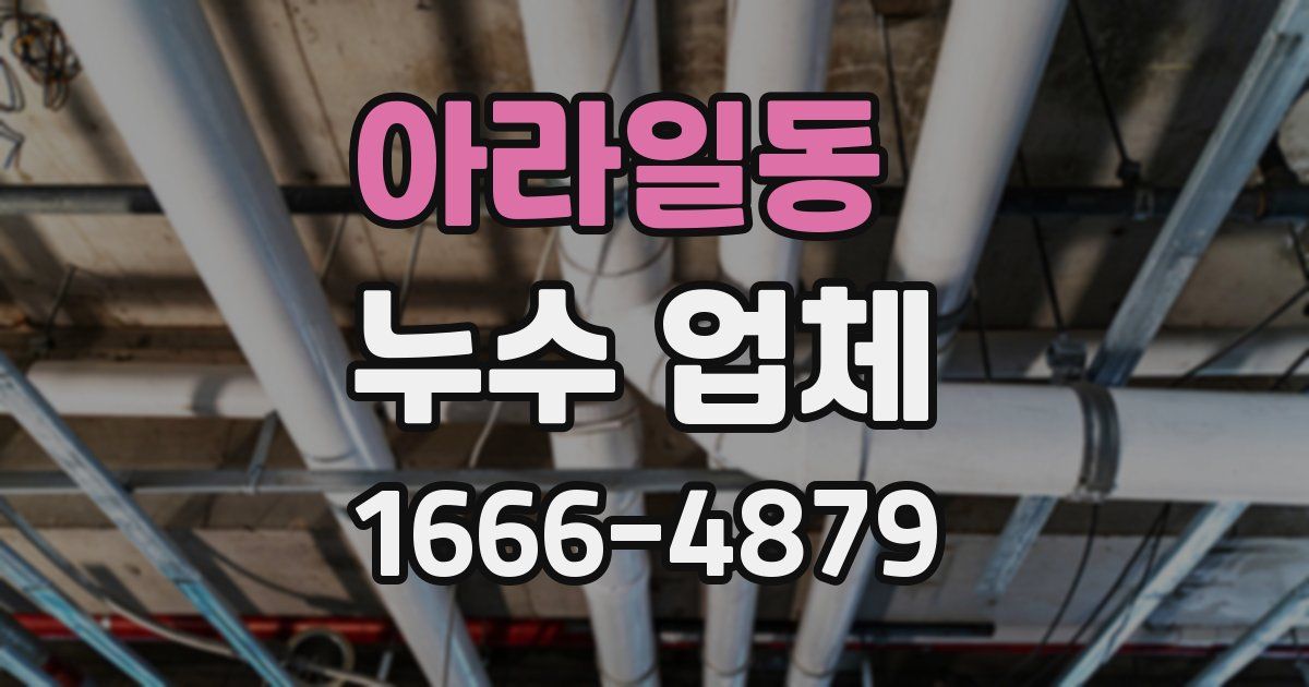아라일동 누수 업체