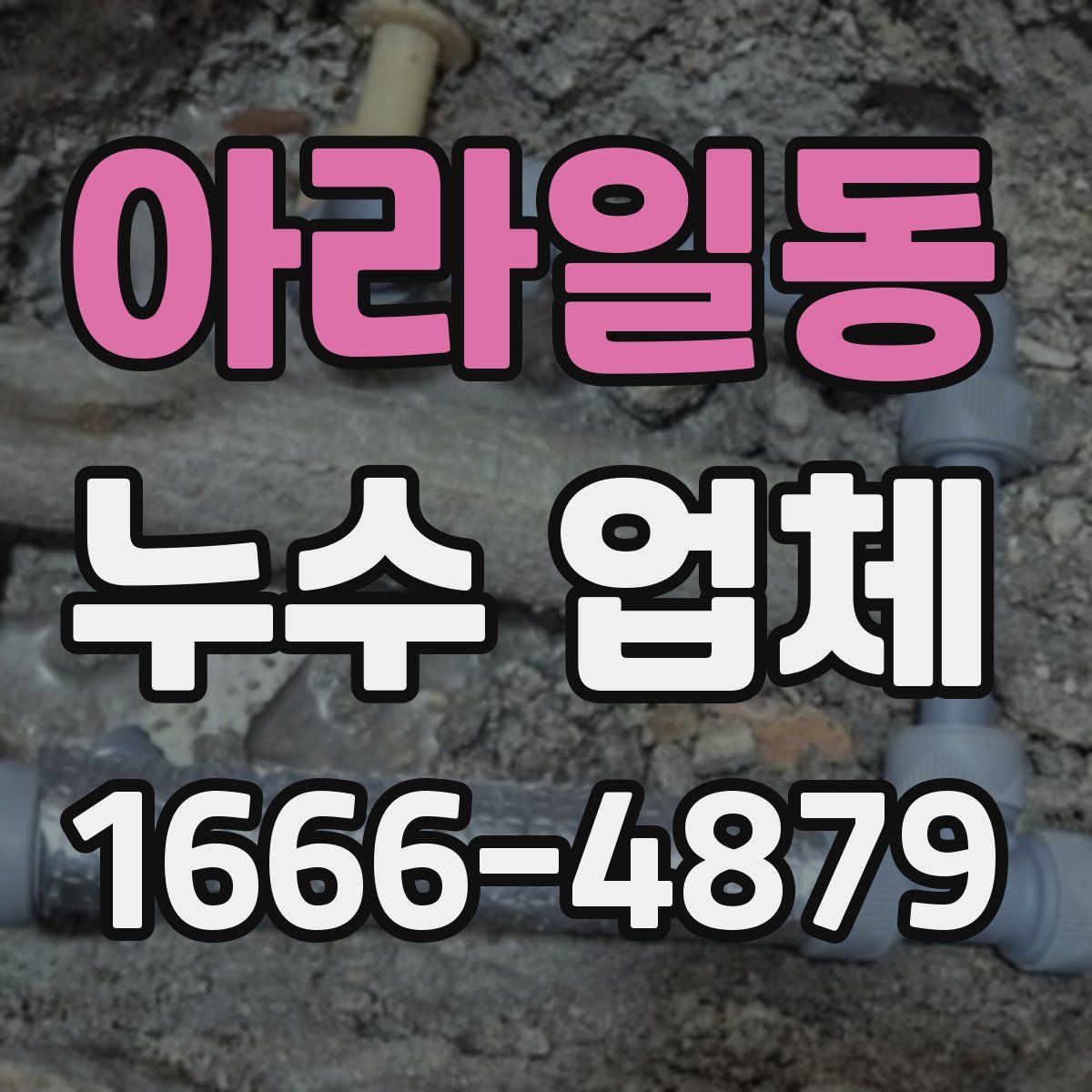 아라일동 누수 업체