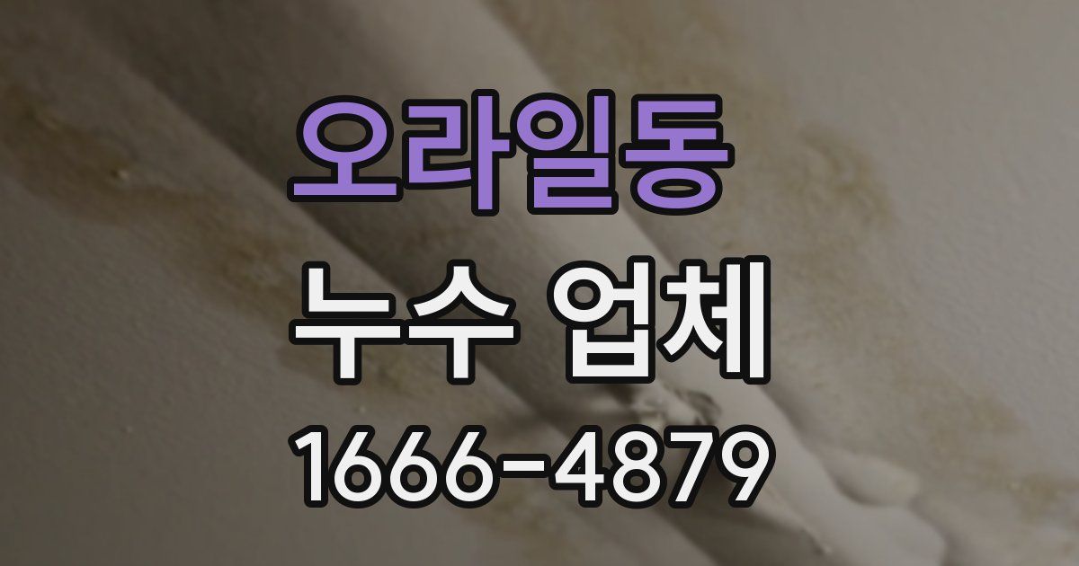 오라일동 누수 업체