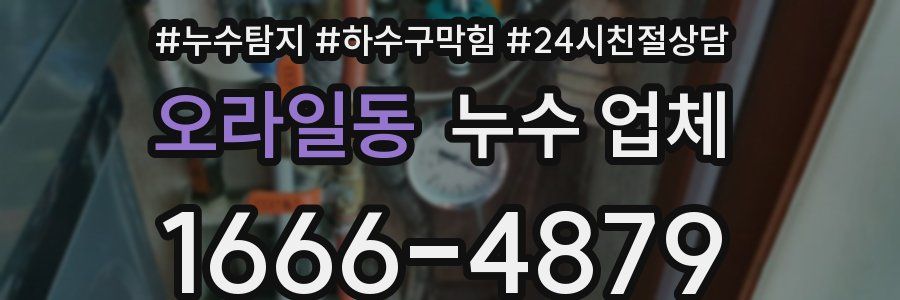 오라일동 누수 업체