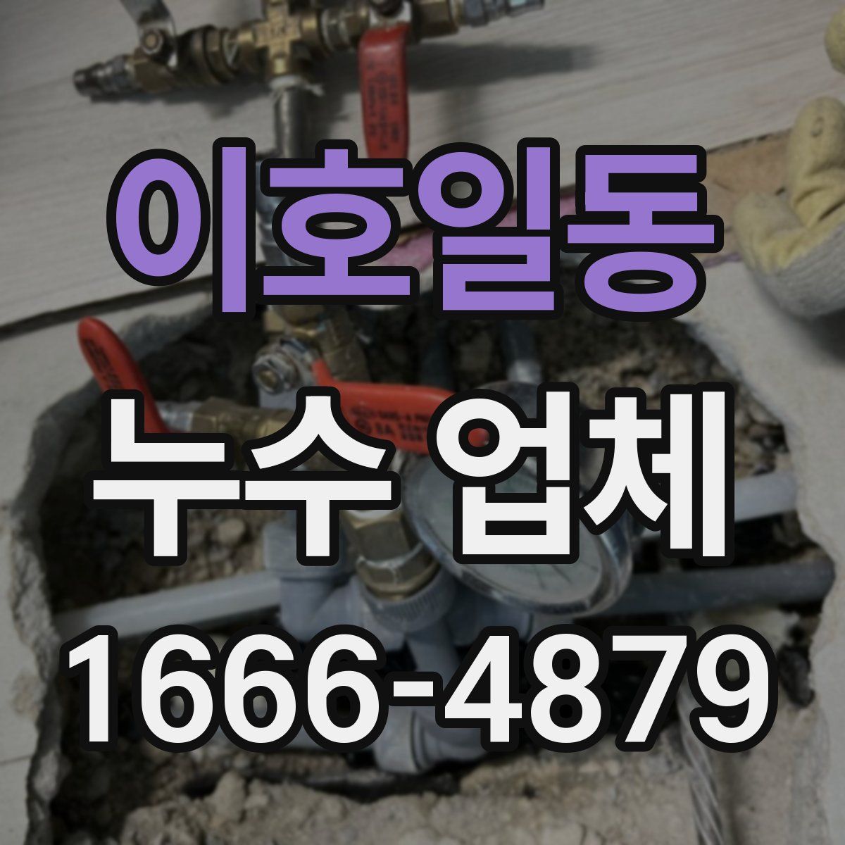 이호일동 누수 업체