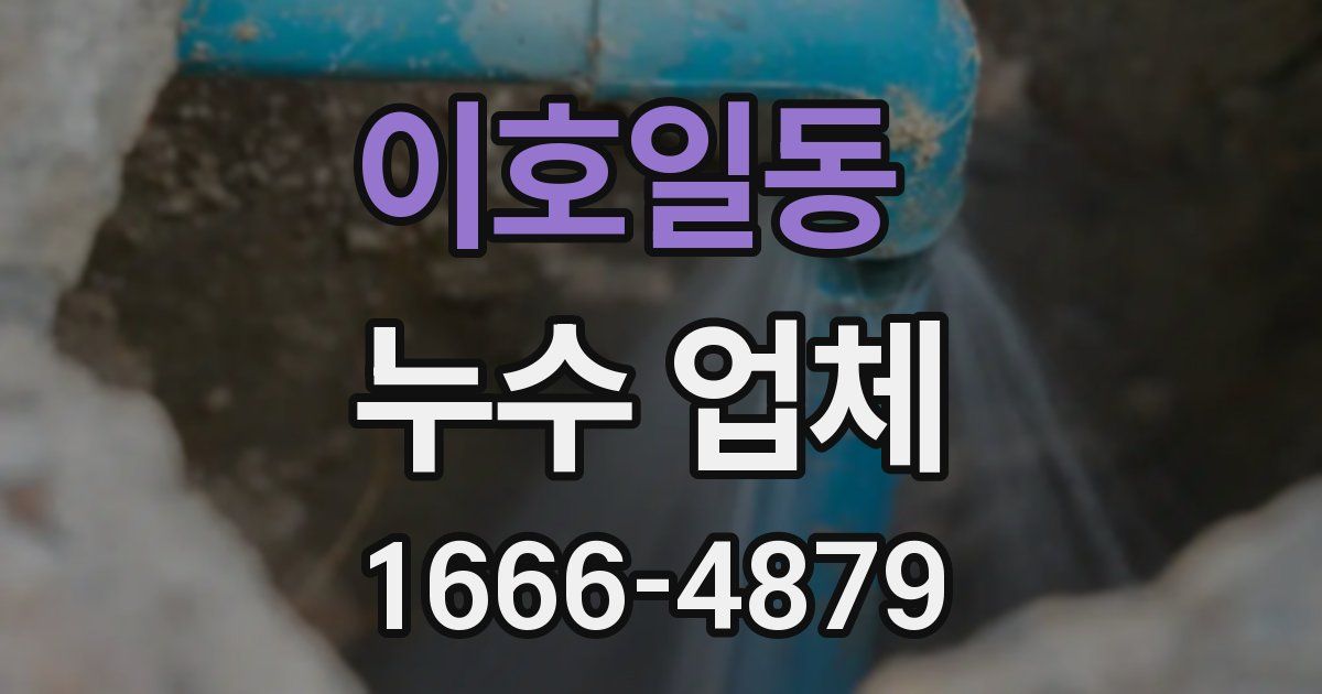 이호일동 누수 업체