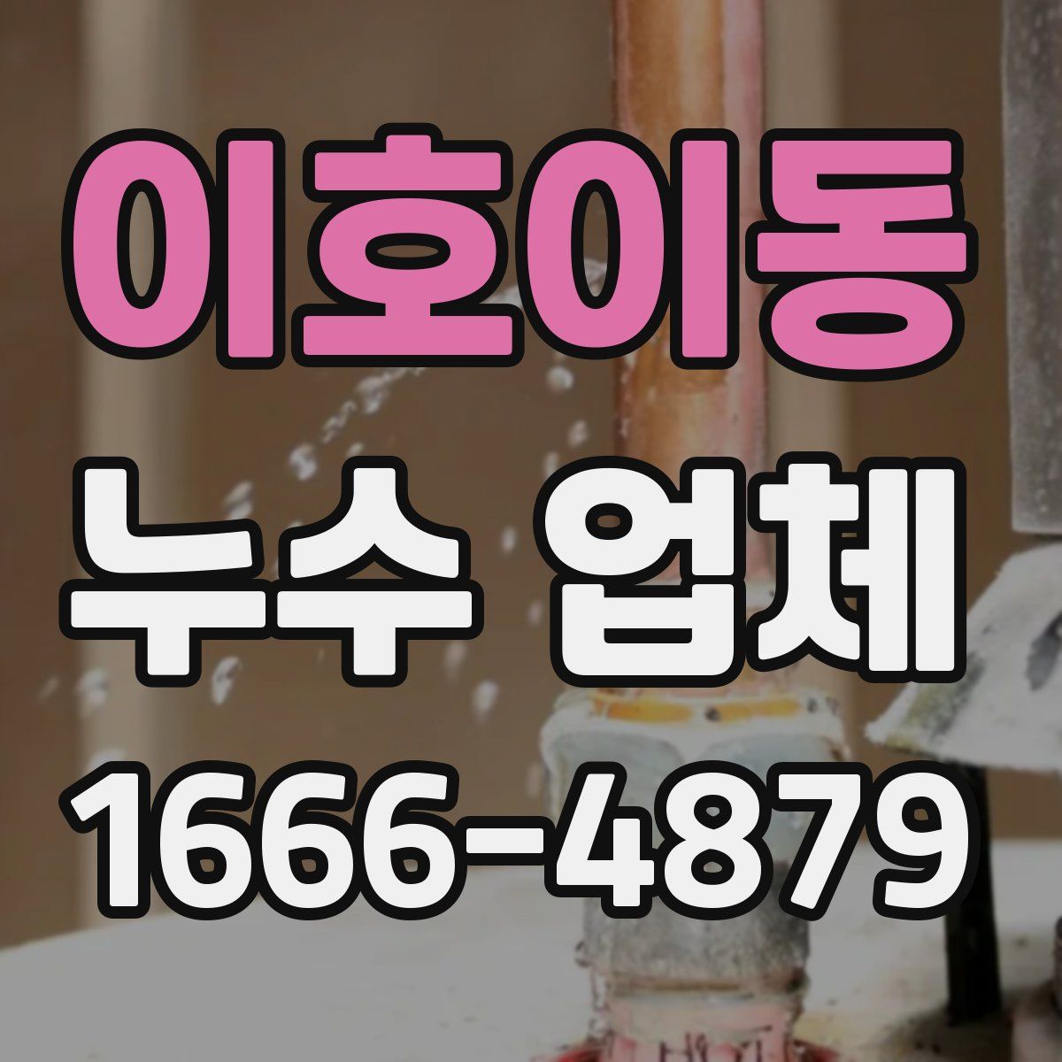 이호이동 누수 업체
