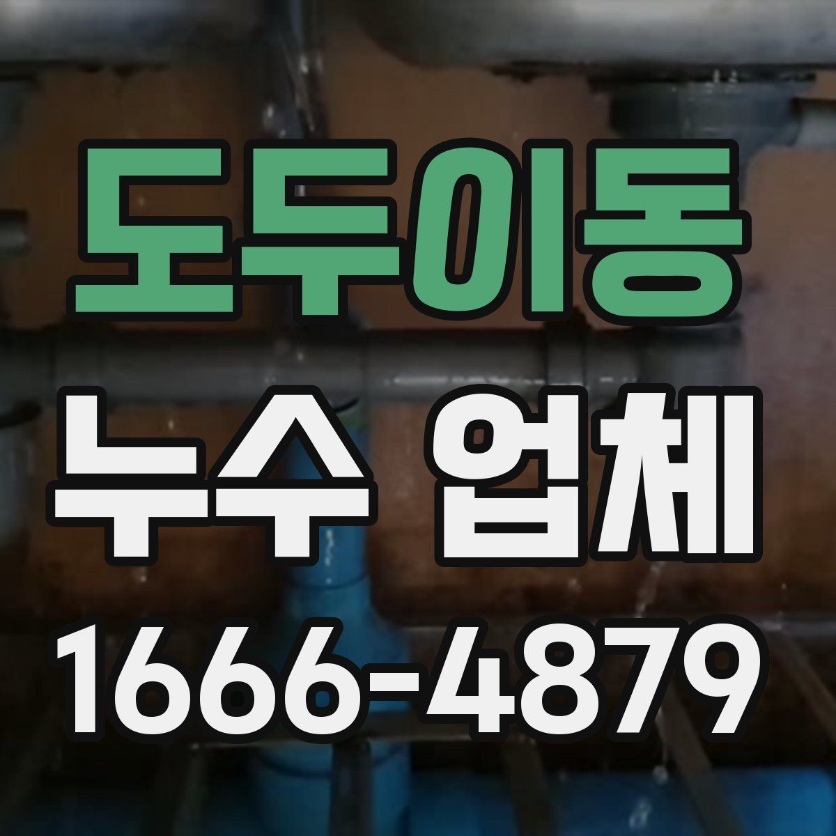 도두이동 누수 업체