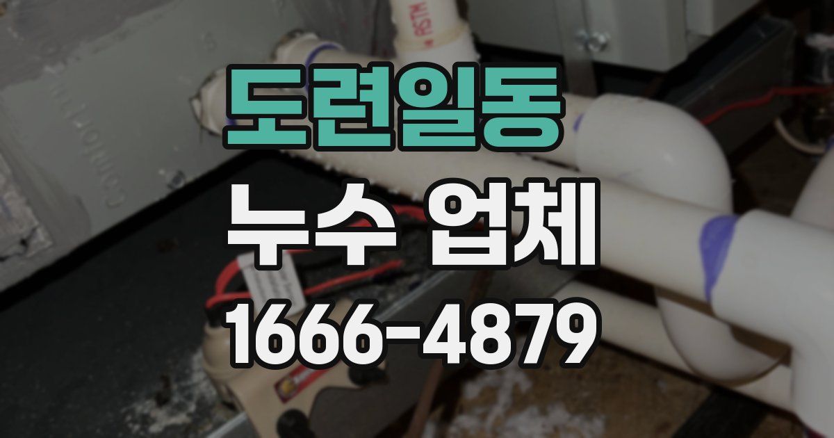 도련일동 누수 업체