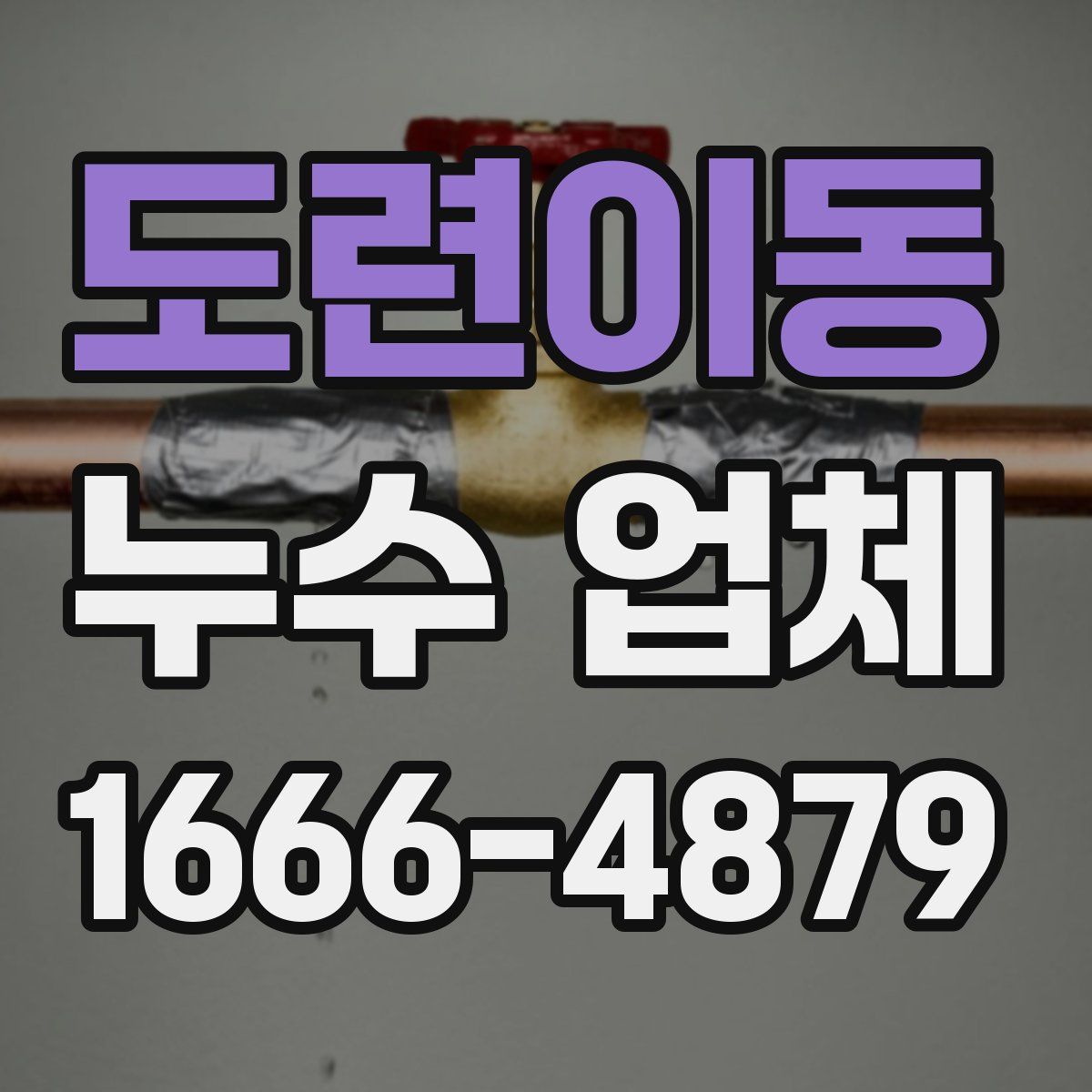 도련이동 누수 업체