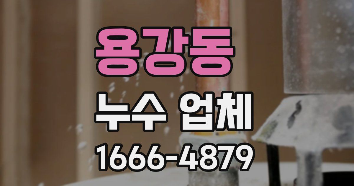 용강동 누수 업체