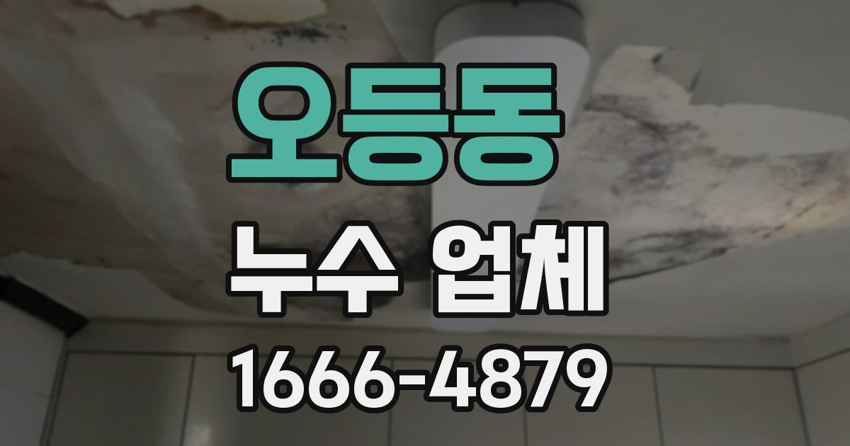오등동 누수 업체
