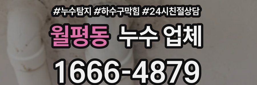 월평동 누수 업체