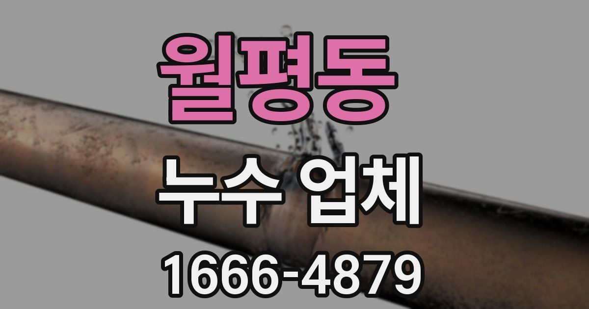 월평동 누수 업체