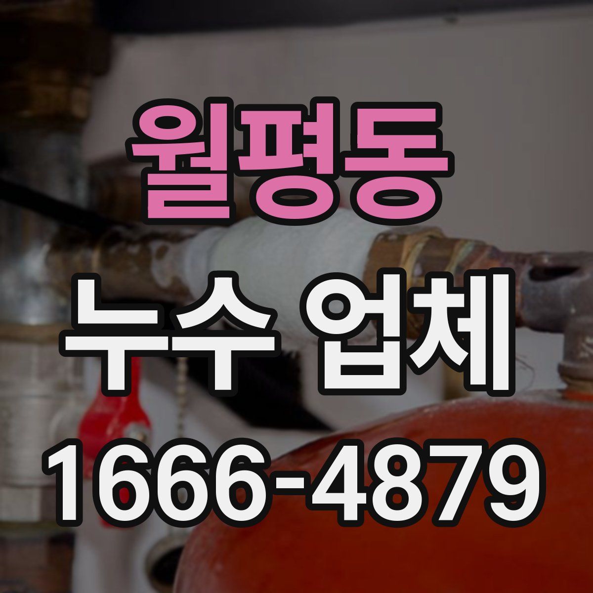 월평동 누수 업체