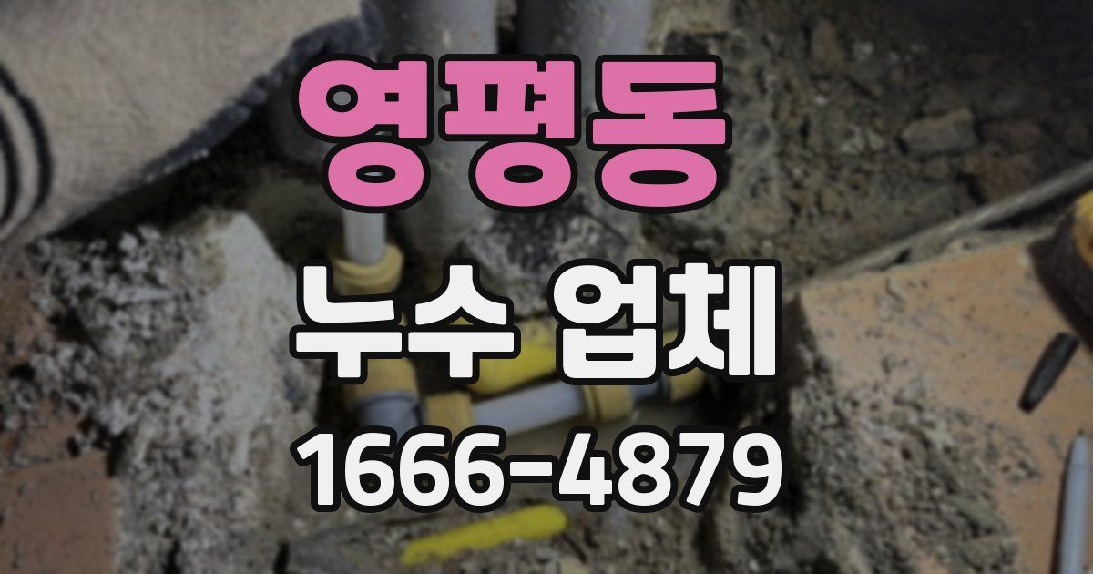 영평동 누수 업체