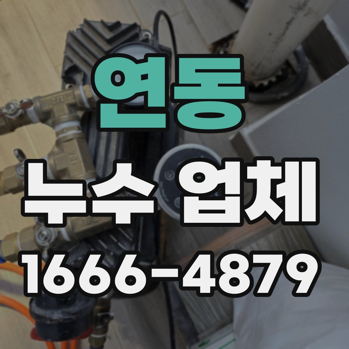 연동 누수 업체