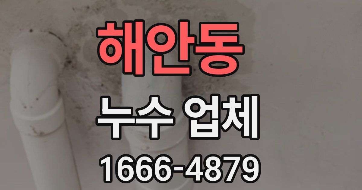 해안동 누수 업체