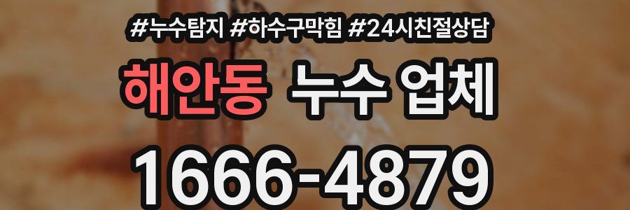 해안동 누수 업체