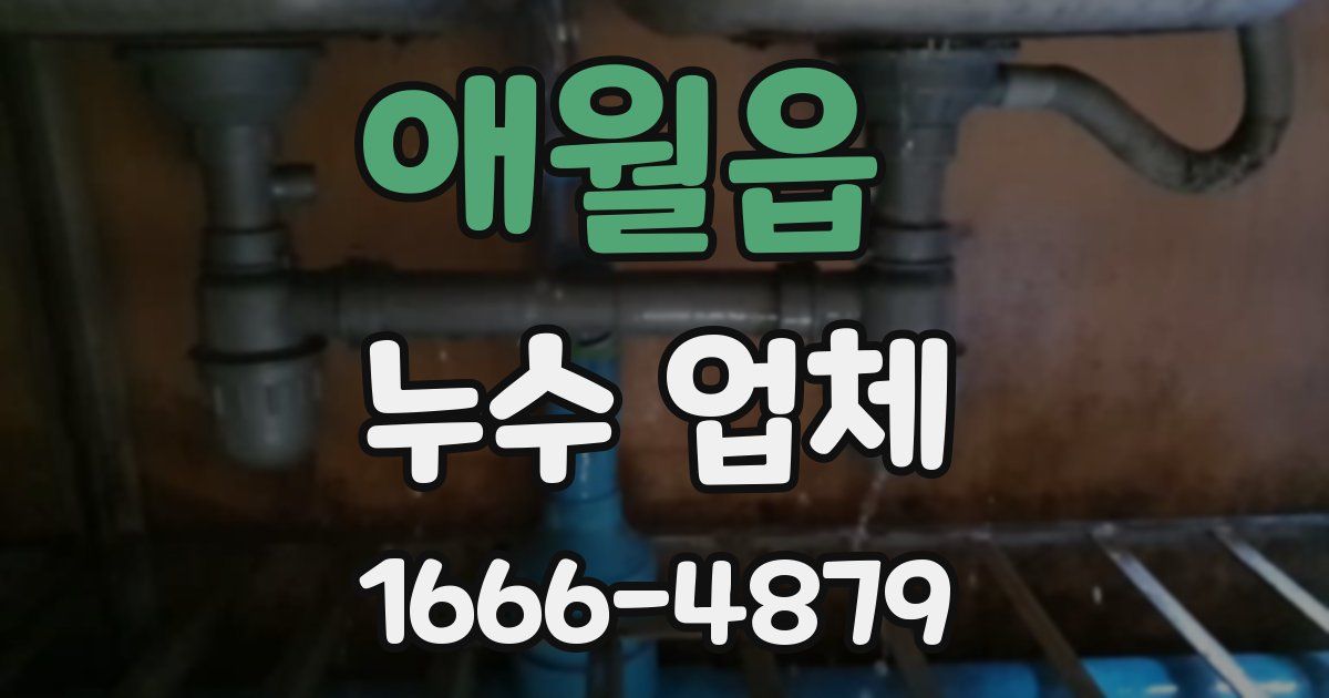 애월읍 누수 업체