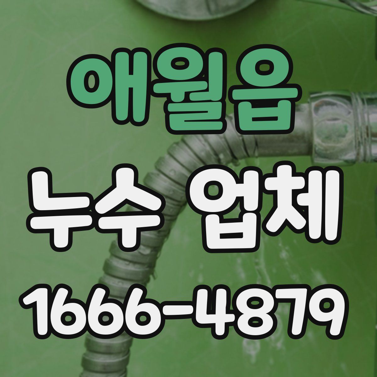 애월읍 누수 업체