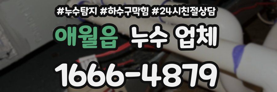애월읍 누수 업체