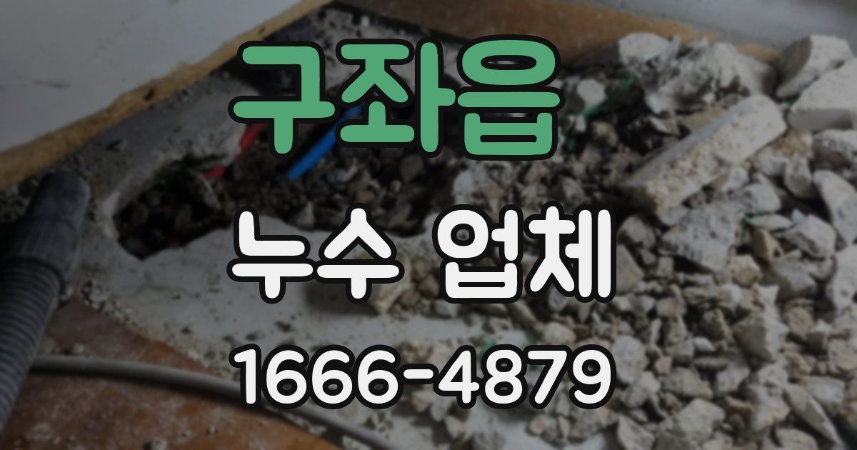 구좌읍 누수 업체