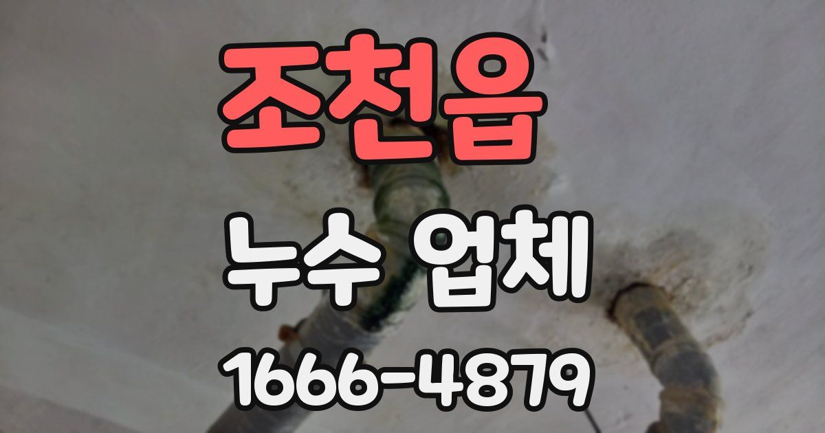 조천읍 누수 업체