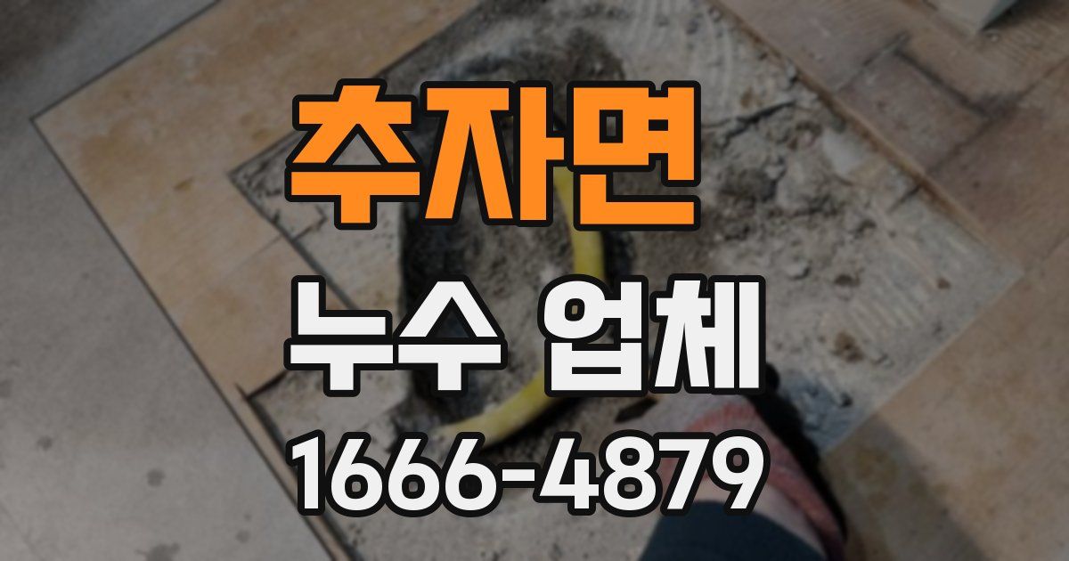 추자면 누수 업체