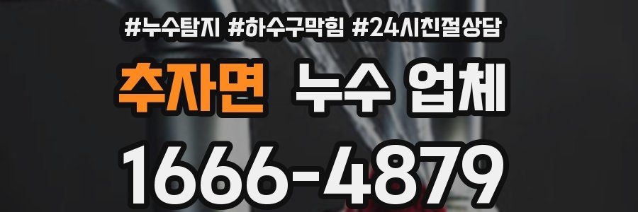 추자면 누수 업체