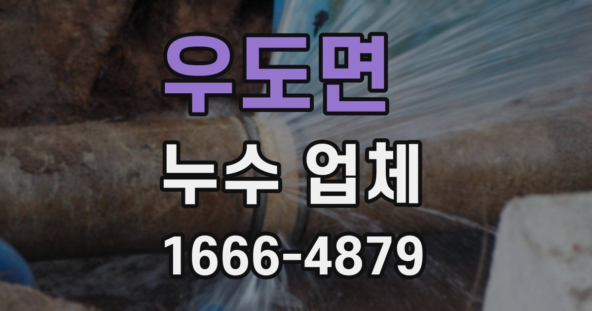 우도면 누수 업체