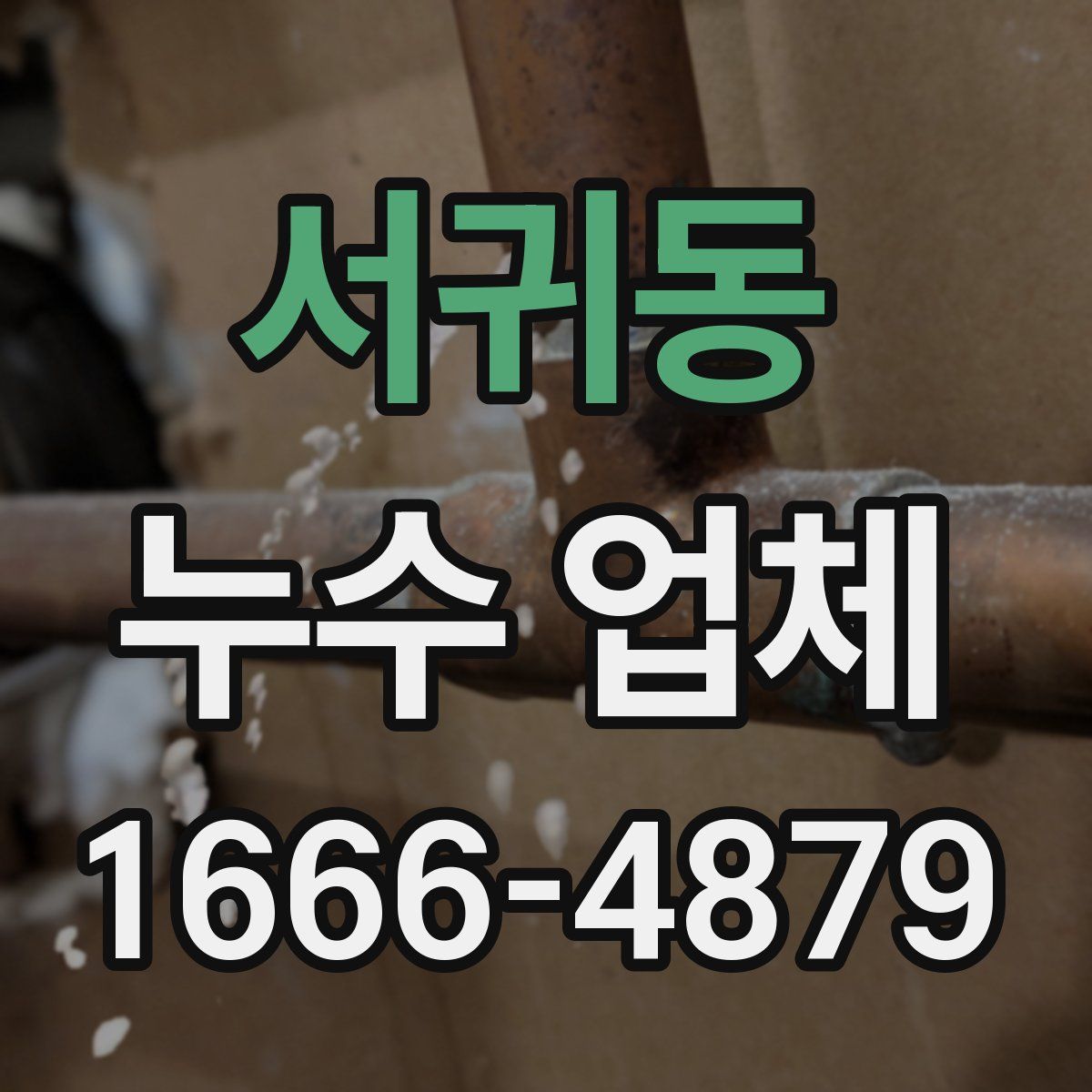 서귀동 누수 업체